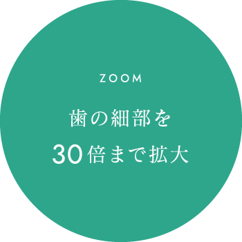 歯の細部を30倍まで拡大