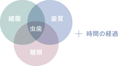 細菌 歯質 糖類 虫歯 +時間の経過